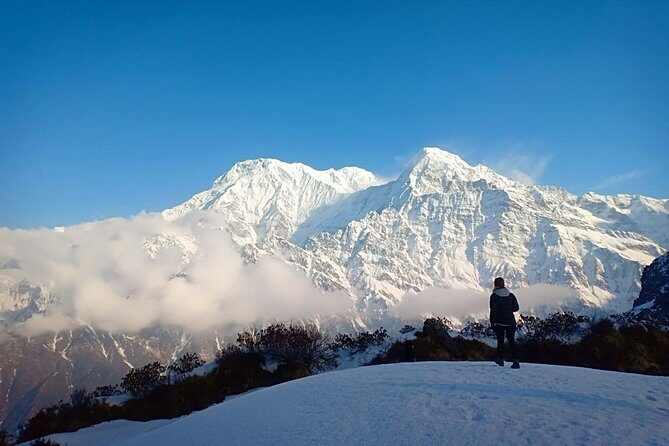 4 Days Mardi Himal Base Camp Trek - 4500 Meters - Day 3: High Camp to Mardi Himal Base Camp at 4,500m