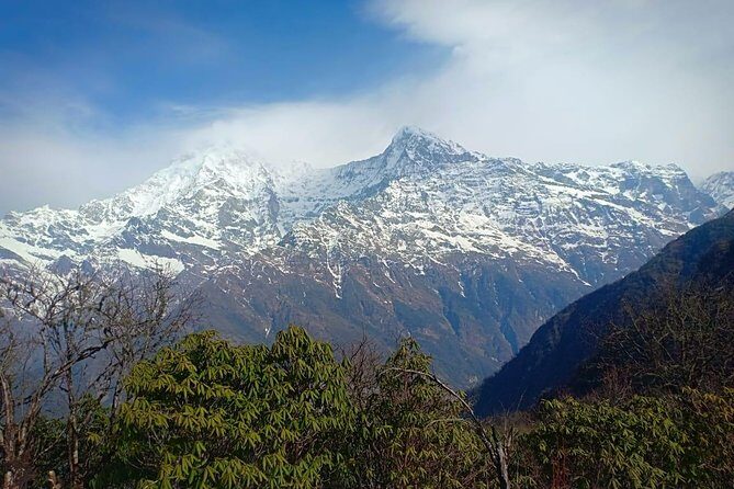 4 Days Mardi Himal Base Camp Trek - 4500 Meters - Day 4: High Camp down to Sidding, then back to Pokhara