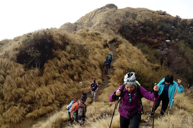 4 Days Mardi Himal Base Camp Trek from Pokhara - Key things I’d bet on before you go