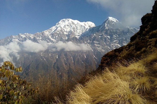 4 Days Mardi Himal Base Camp Trek from Pokhara - What the included permits and logistics actually do for you
