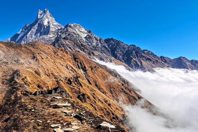 4 Days Mardi Himal Base Camp Trekking in Pokhara - Day 3: Early climb to Mardi Himal Base Camp, then back to Low Camp