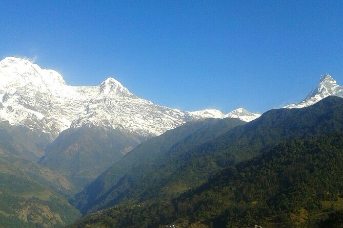 4 Days Mardi Himal Base Camp Trekking in Pokhara - Day 1: Kande to Forest Camp via Australian Camp
