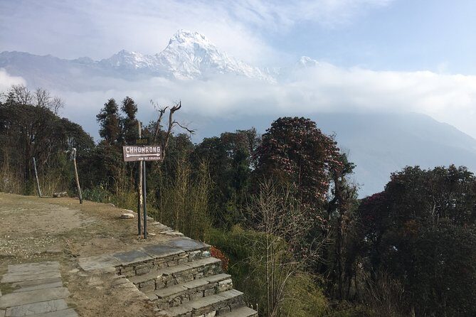 4 Days Poon Hill Trek - Rhododendron forests to Ghorepani: the day the views start stacking