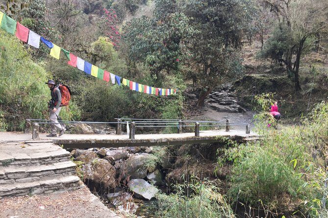 4 Days Poon Hill Trek - Guest houses and food: basic comfort, real convenience