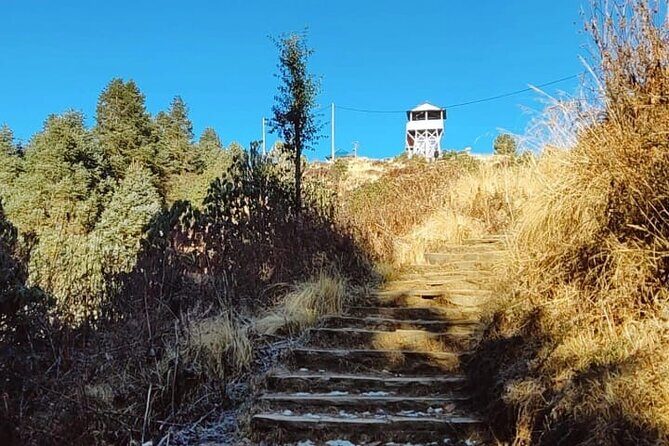 4 Days Poon Hill Trek from Pokhara - The Poon Hill Day (3210m): Sunrise Without a Long Commitment