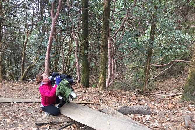 4 Days Poon Hill Trek - Getting from Pokhara to Nayapul and walking out via Hile
