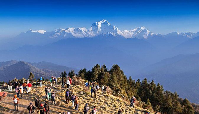 4 Days Poonhill Trek From Pokhara To Pokhara - Ulleri to Ghorepani/Deurali (Day 2): Forest Tracks, Rhododendron Season, and a Steady Build