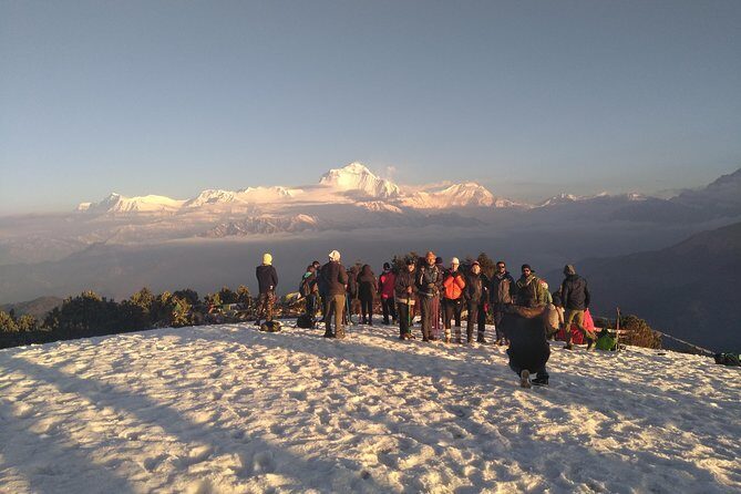 4Nights 5Days PoonHill Trek - Meet your guide: how Dadhi Ram Thapa changes the experience