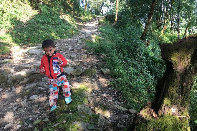 4WD Drive to Dhampus and Easy Hiking to Australian Camp from Pokhara - Phedi Khola Stop: A 45-Minute Breather With Scenic Payoff