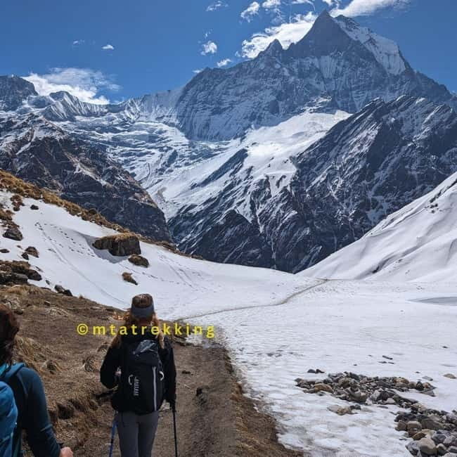 5-Day Annapurna Base Camp Trek with Natural Hot Springs - Tea houses, food, and why the included meals matter