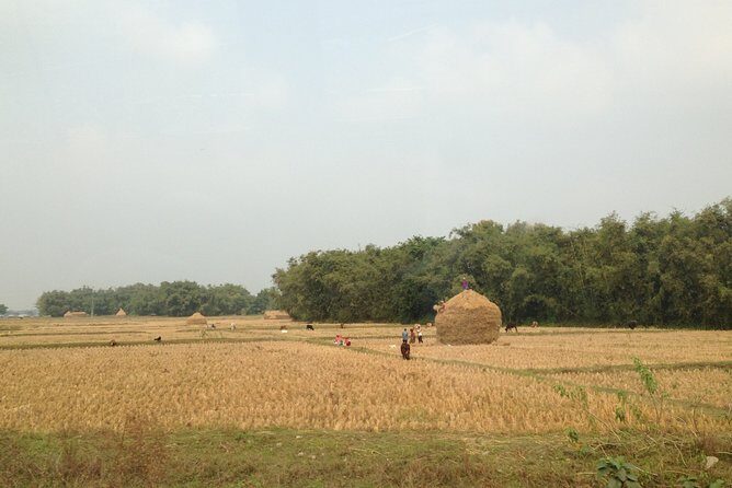 5-Day Private Farming Experience in Nayapul with Accommodation - Key highlights at a glance