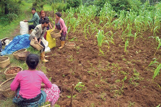 5-Day Private Farming Experience in Nayapul with Accommodation - Day 1 in the homestay: welcome, orientation, and settling in