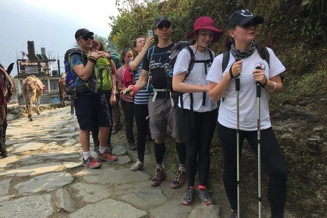 5 Days Annapurna Mountain View Trekking from Pokhara, Nepal - Pokhara to Nayapul: your private transfer and first climb to Ulleri