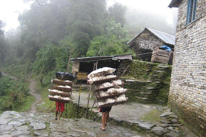 5 Days Mardi Himal Base Camp Trek - Mardi Himal Base Camp in 5 days: what you’re really signing up for