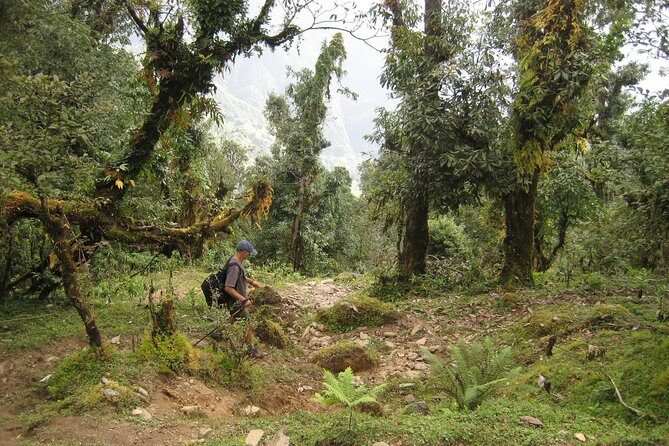 5 Days Mardi Himal Base Camp Trek - Day 3 to High Camp via Hotel Trekkers Paradise: the cafe stop that breaks up fatigue