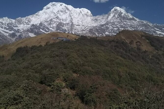 5 Days Mardi Himal Trek. - Mardi High Camp on Day 3: the day for glacier-and-valley views