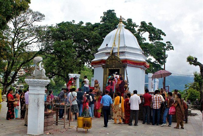 5 night / 6 days Kathmandu Nagarkot Chitwan Pokhara tour - Chitwan Setup Day: Getting Oriented Before You Enter the Park