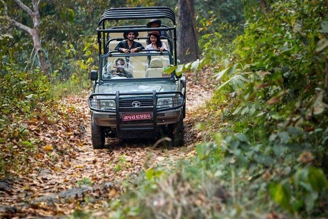 5 night / 6 days Kathmandu Nagarkot Chitwan Pokhara tour - The Domestic Flight Back to Kathmandu: Efficient, But Watch the Pace