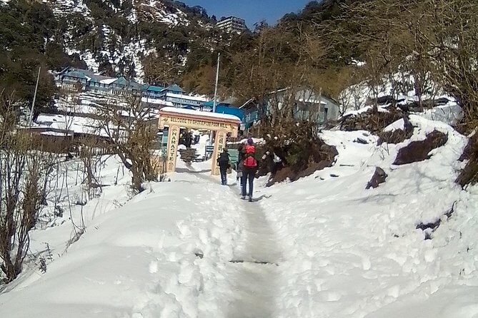 6 Days Poon Hill - Ghandruk Circuit Trek from Kathmandu - Trek Day 2: Ulleri Starts the Climb and Sets the Tone