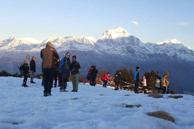 7-Day Trek to Annapurna Base Camp from Pokhara - Day 4: The 730m Push to Annapurna Base Camp