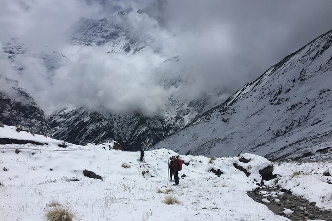 7 Days Annapurna Base Camp Trek from Pokhara - Day 5: Trek down to Bamboo and how recovery should feel