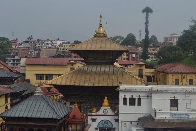 7 Days Nepal Adventure Tour - Day 3: Chitwan District town walk and a mood reset