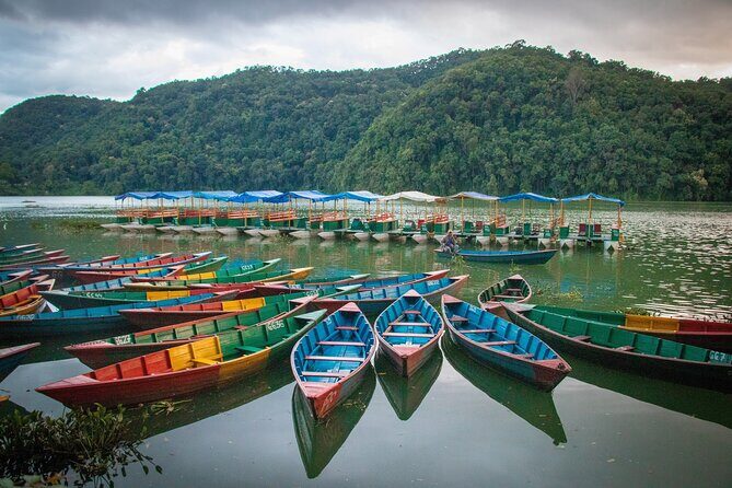 7 Days Nepal Adventure Tour - Day 4: Chitwan National Park day with safari-style time and Tharu community contact