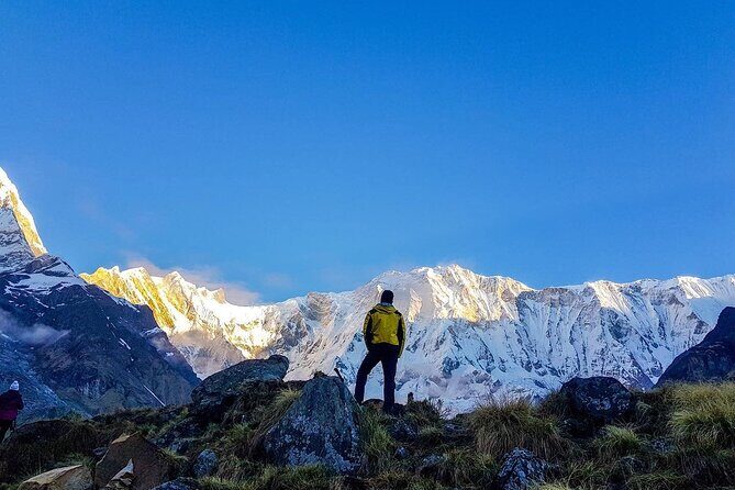 8 Days Annapurna Base Camp Budget Trek from Kathmandu - Forest, river gorges, and tea-house rhythm: Sinuwa, Bamboo, and Dovan