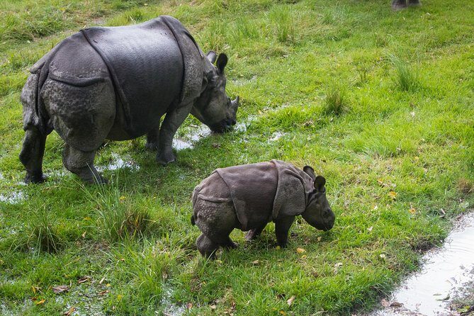 8 Days Nepal Tour (Kathmandu, Pokhara, and Chitwan Tour) - Day 7: The Smooth Finish—Back to Pokhara or Kathmandu