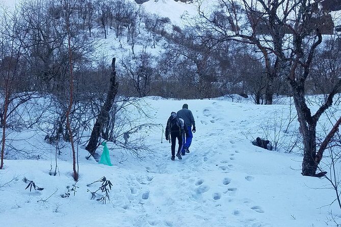 Adventurous Annapurna Base Camp Trekking - Ulleri to Ghorepani: where the trek starts to feel real