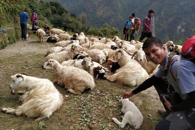 Annapurna: 2 Days 1 Night Poon Hill Trekking - The Poon Hill Idea: A Himalayan Taste in 2 Days