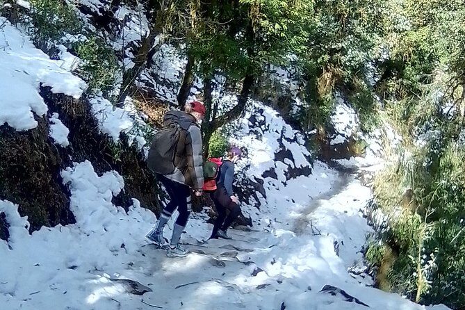 Annapurna: 5 Days Poon Hill Circuit Trek from Pokhara - Key highlights