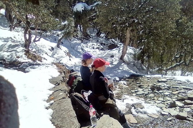 Annapurna: 5 Days Poon Hill Circuit Trek from Pokhara - Rhododendron forests: the “not just mountains” part