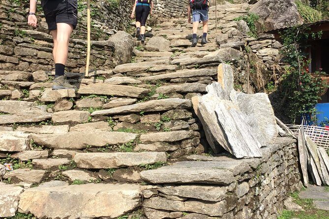 Annapurna Base Camp Trek from Pokhara - Day 3: Chhomrong to Sinuwa, forests, bridges, and calmer hours