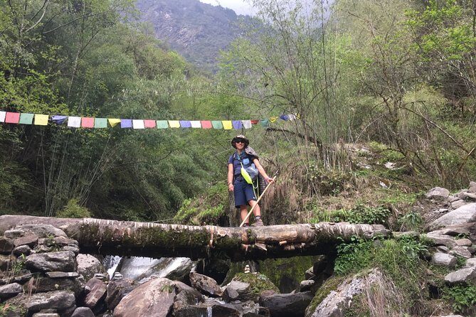 Annapurna Base Camp Trek from Pokhara - Day 4: Sinuwa to Deurali, edging toward the higher air