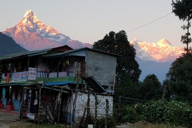 Annapurna Base Camp Trekking - 14 Days - Nayapul to Ghorepani: Terraces, Rhododendron, and the First Big Walking Days