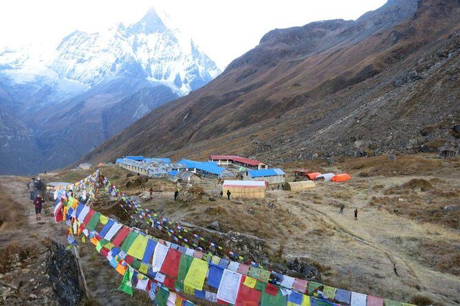 Annapurna Base Camp Trekking - 14 Days - The Descent via Bamboo and Jhinu Danda (Where Relief Still Feels Like Work)