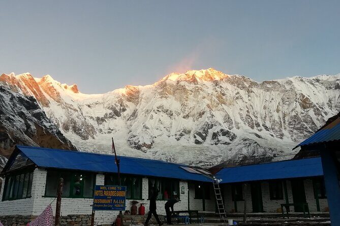 Annapurna Base Camp Trekking - Ulleri to Ghorepani: The Trail Starts Gently, Then Knows Your Name