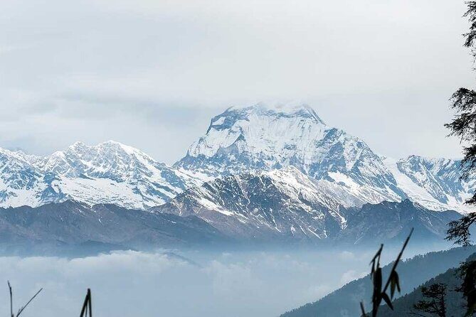 Annapurna Base Camp with Poon hill 9-Day Trek Itinerary - Tea house meals, included stays, and what that changes for your trip