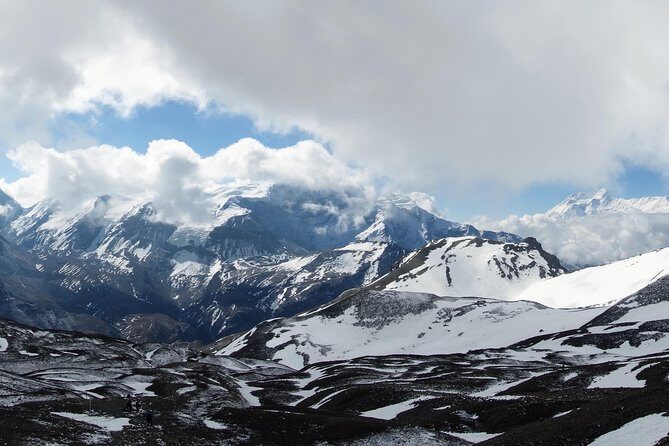 Annapurna Circuit Trek 12 days - Forest zones change fast: subtropics to alpine quiet