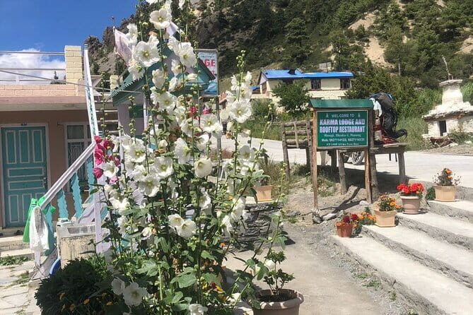 Annapurna Circuit Trek in Nepal (9 Days) - Day-by-day Annapurna Circuit: what happens when, and what to watch