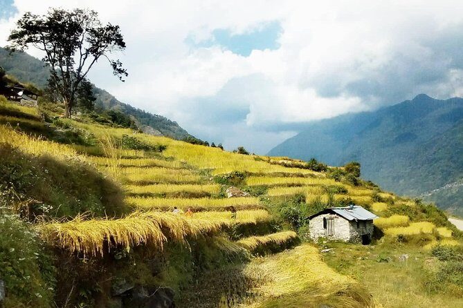 Annapurna Circuit Trekking -17 Days - Timang and Pisang: the climb gets serious, and the days get longer
