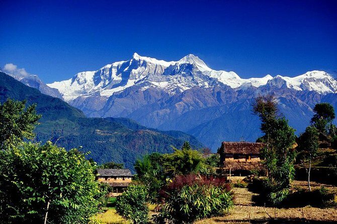 Annapurna Ghorepani Poon Hill trek from Pokhara short and easy hike in Himalaya - Key Highlights You’ll Actually Notice
