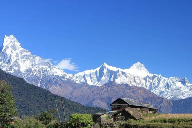 Annapurna Ghorepani Poon Hill trek from Pokhara short and easy hike in Himalaya - Tadapani to Ghandruk: Village Life Gets More Personal