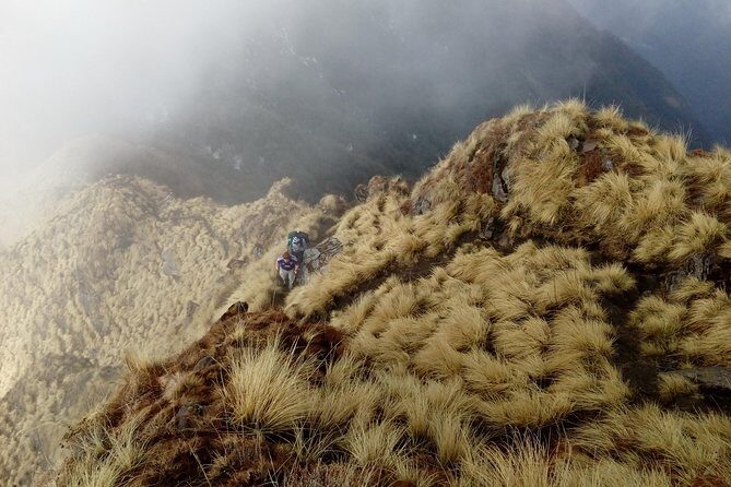 Annapurna: Mardi Himal Base Camp Trek - Why Mardi Himal Feels Calmer Than the Usual Nepal Treks