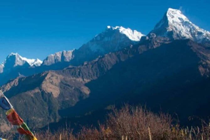 Annapurna Poon hill Sunrise Trek - Well Plan Trekking’s Support: Guide, Porter, Pickup, and Follow-Through