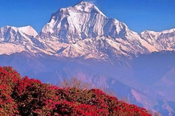 Annapurna Poon hill Sunrise Trek - Kathmandu to Pokhara: How the Trip Gets You Ready (Without Dragging)