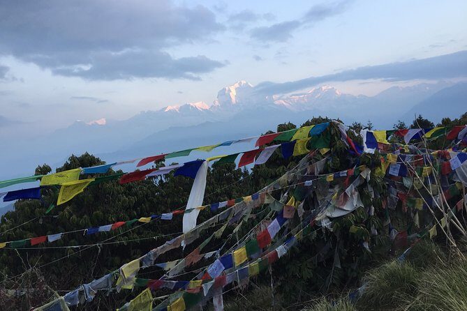Annapurna Poonhill Trek - Day 4: Ulleri stone steps to Ghorepani, the climb day