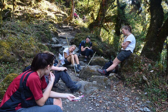 Annapurna Poonhill Trek - Day 3: from Nayapul into the Modi Khola river corridor