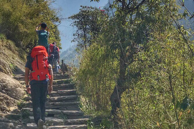 Annapurna Sanctuary Trek ( 11 Days) - Annapurna Base Camp: 4,130m and that wide, clear final approach (Day 7)